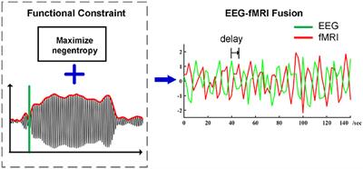 Functional Source Separation for EEG-fMRI Fusion: Application to Steady-State Visual Evoked Potentials